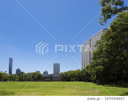 快晴の有明テニスの森公園 105099887