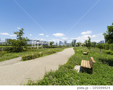 有明北緑道公園から豊洲市場　快晴で気持ち良い 105099924