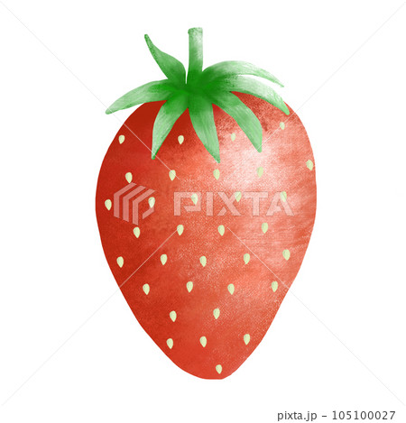 strawberry healthy food isolated on white background strawberry healthy food isolated on white background 105100027