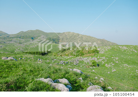 爽やかな青空の初夏の平尾台【福岡県北九州市】 爽やかな青空の初夏の平尾台【福岡県北九州市】 105100454