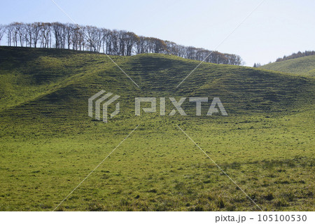 秋の釧路平野の田園風景 105100530