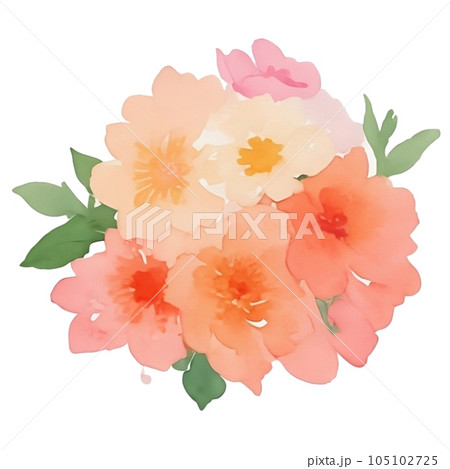 watercolor flowers watercolor flowers 105102725