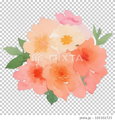 watercolor flowers watercolor flowers 105102725