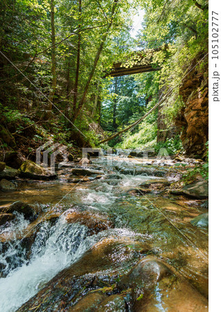 Mountain river in the forest among the rocks 105102777