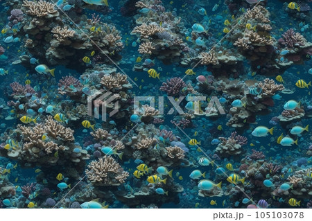 深海の神秘: 星のように輝く生物たち 105103078