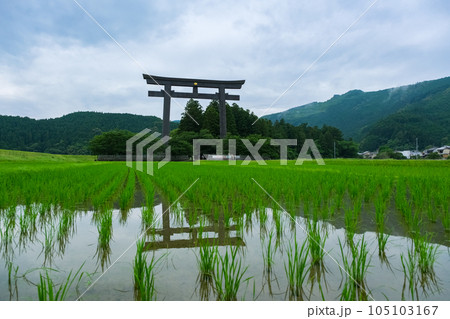 和歌山県 雨の日の熊野本宮大社 大斎原大鳥居 和歌山県 雨の日の熊野本宮大社 大斎原大鳥居 105103167