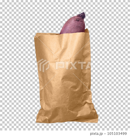 Baked sweet potato illustration real Baked sweet potato illustration real 105103499