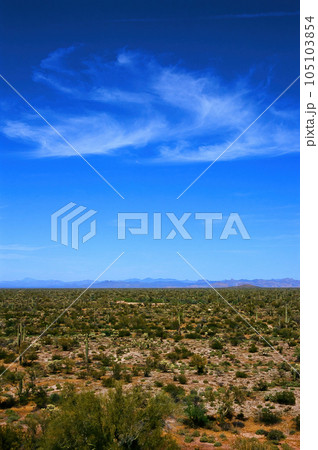 Film Image Sonora Desert Arizona 105103854