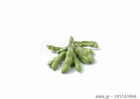 枝豆 枝豆 105103968