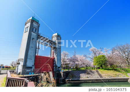 春の三栖閘門 105104375