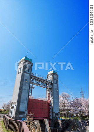 春の三栖閘門 105104381