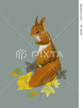 動物 動物学 リス 105104996