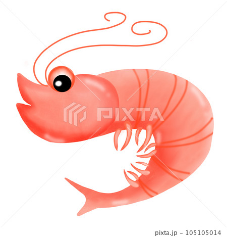 Shrimp lobster 105105014