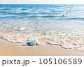 Blue jellyfish on the sandy beach of the Mediterranean sea, Tunisia 105106589