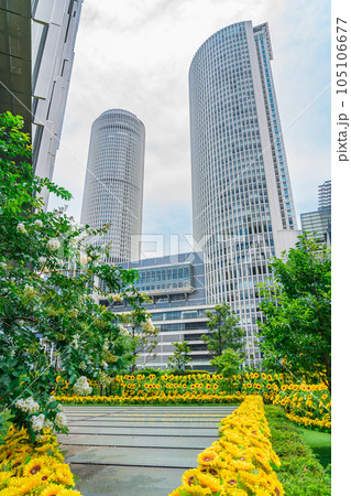 大名古屋ビルヂング、都心のひまわり庭園〈愛知県名古屋市〉 大名古屋ビルヂング、都心のひまわり庭園〈愛知県名古屋市〉 105106677
