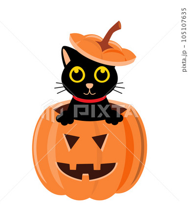 Black cat and halloween pumpkin . Cartoon character . Vector illustration . 105107635
