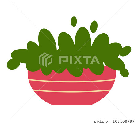Decorative green plant with long leaves in ceramic pot, pot with houseplant. Home interior plant 105108797