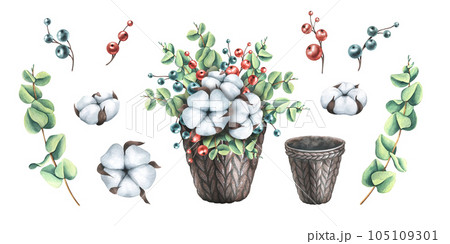 Christmas composition of eucalyptus, cotton and decorative berries in a brown knitted basket. Watercolor illustration, hand drawn. Set of isolated clip art elements on white background. 105109301