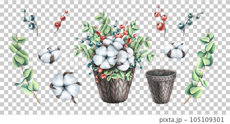 Christmas composition of eucalyptus, cotton and decorative berries in a brown knitted basket. Watercolor illustration, hand drawn. Set of isolated clip art elements on white background. 105109301