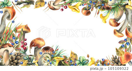 Forest mushrooms, boletus, chanterelles and blueberries, lingonberries, twigs, cones, leaves. Watercolor illustration, hand drawn frame template on a white background 105109322