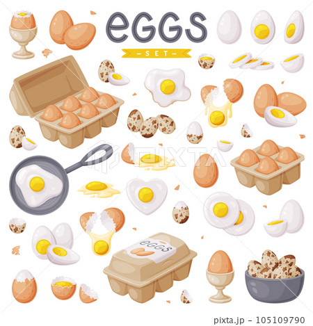 Fresh Raw Eggs and Cooked Boiled with Yellow Yolk Vector Set Fresh Raw Eggs and Cooked Boiled with Yellow Yolk Vector Set 105109790