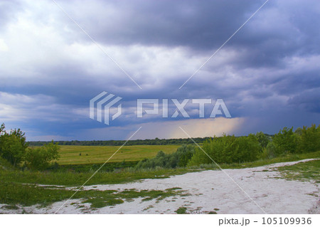 Landscape with thundercloud over field and forest. Streams of rain in distance 105109936