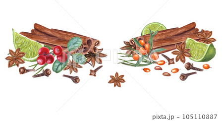 Cinnamon sticks, red huckleberry, sea buckthorn, lime slice, pine needles, cloves, star anise isolated on white background. Watercolor botanical illustration for the design of cards, package design Cinnamon sticks, red huckleberry, sea buckthorn, lime slice, pine needles, cloves, star anise isolated on white background. Watercolor botanical illustration for the design of cards, package design 105110887