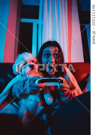 A gamer or a streamer girl at home in a dark room with a game controller playing with her dog and sits in front of a monitor or TV. A gamer or a streamer girl at home in a dark room with a game controller playing with her dog and sits in front of a monitor or TV. 105111146