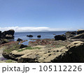 神奈川　観音崎公園　海 105112226