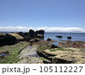 神奈川　観音崎公園　海 105112227