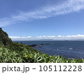 神奈川　観音崎公園　海 105112228