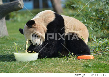 おいしそうに氷のケーキを食べる梅浜 105112515