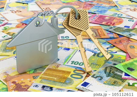 Home key with keychain on the euro background, 3D rendering 105112611