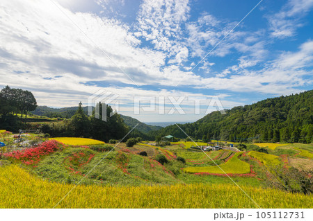 江里山の棚田の彼岸花（佐賀県小城市）【9月】 105112731