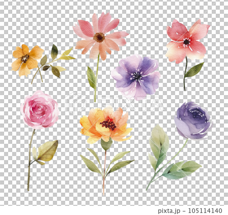 Botanical set of watercolor illustrations of multi-colored flowers and plants. 105114140