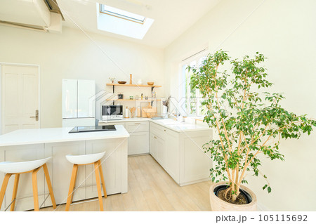 ダイニングキッチン カウンターキッチン ダイニングキッチン カウンターキッチン 105115692