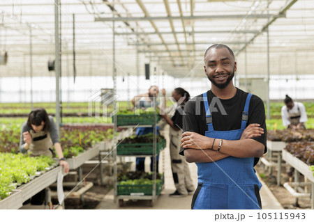 Cheerful farm worker in eco friendly agriculture certified organic hydroponic greenhouse with group of agronomists. Locally grown herbicide free food crops using recycled water and natural fertilizer 105115943