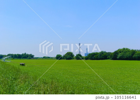 千葉県松戸市江戸川河川敷のグラウンド2023年7月 105116641