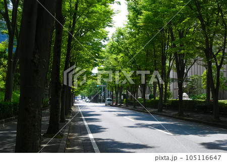 千葉県松戸市新松戸けやき通り2023年7月 105116647