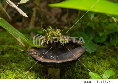 街中のオアシス 養浩館庭園 街中のオアシス 養浩館庭園 105117311