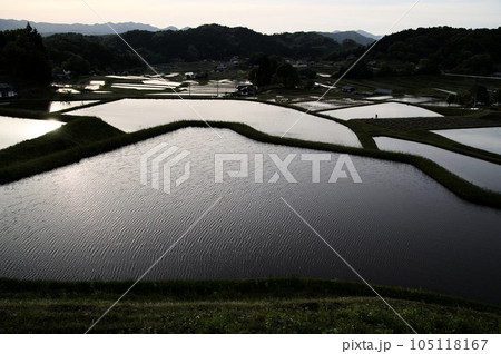 つなぐ棚田遺産三河内の棚田風景 夕景みなも 風紋 つなぐ棚田遺産三河内の棚田風景 夕景みなも 風紋 105118167