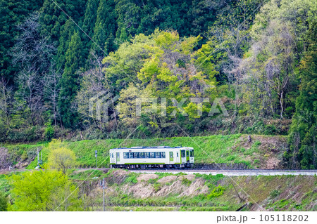 飯山線　新緑の中を走る列車（上境－戸狩野沢温泉） 105118202