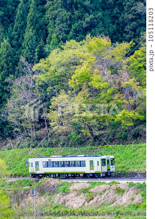 飯山線　新緑の中を走る列車（上境－戸狩野沢温泉） 105118203