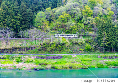 飯山線 新緑の中を走る列車(上境-戸狩野沢温泉) 飯山線 新緑の中を走る列車(上境-戸狩野沢温泉) 105118204