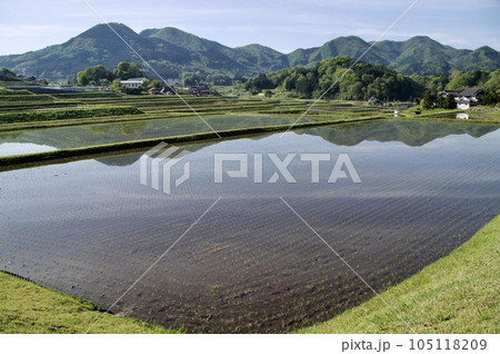 つなぐ棚田遺産三河内の棚田風景 田植え後 つなぐ棚田遺産三河内の棚田風景 田植え後 105118209