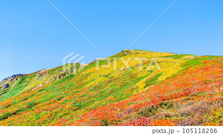 秋の栗駒山登山(中央コースから望む山頂) 秋の栗駒山登山(中央コースから望む山頂) 105118286