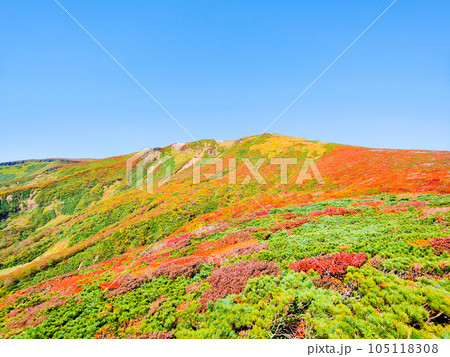 秋の栗駒山登山(中央コースから望む山頂) 秋の栗駒山登山(中央コースから望む山頂) 105118308