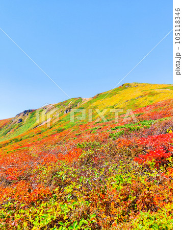 秋の栗駒山登山（中央コースから望む山頂） 105118346