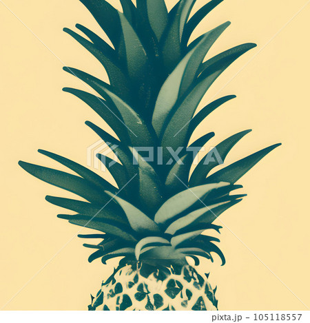 新鮮なパイナップルのイラスト 新鮮なパイナップルのイラスト 105118557
