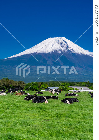 《静岡県》富士山を望む牧場・朝霧高原 105118773